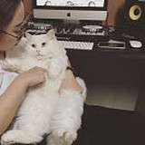 用戶頭像
