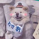 ChenWj@_的头像