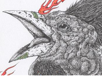 2024.06.16毣柞山海-北山经-单张山-白鵺（特写）