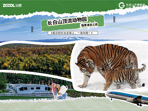 开启长白山顶流动物园的一场惬意漫游之旅