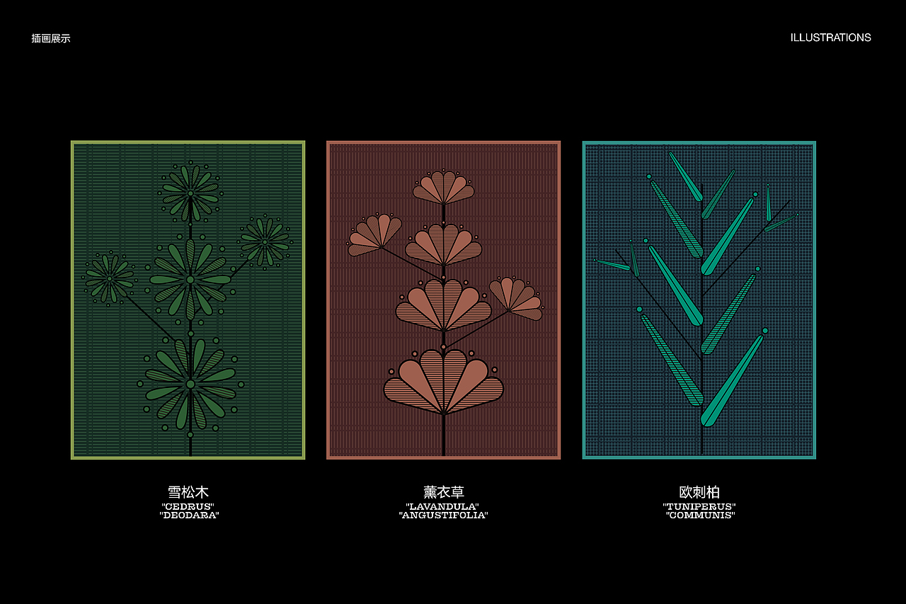 FLEURIS精油包装设计