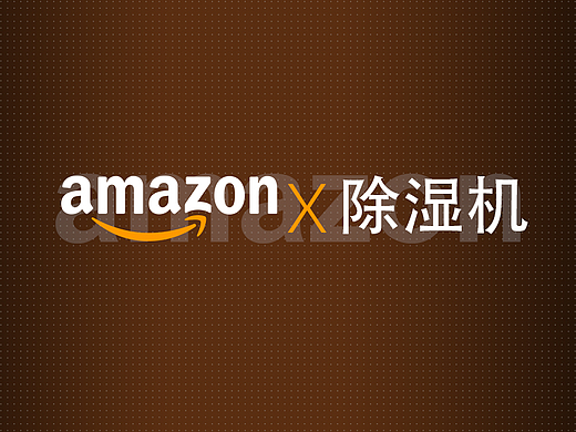 Amazon亚马逊视觉-除湿机