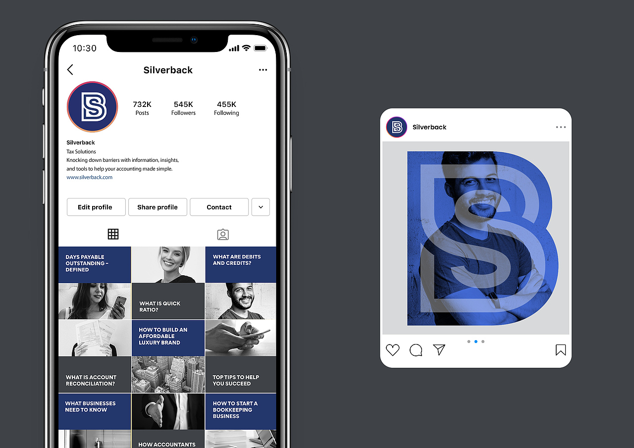 香港合子品牌設計作品 | 美國 Silverback 品牌設計（图ZMzcxMTA4NTU2） - 品牌 - 站酷设计师boxbranddesign原创素材 - 站酷ZCOOL