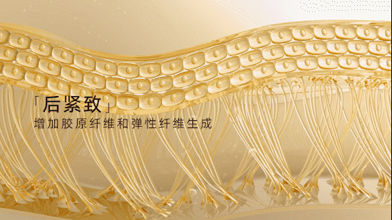 护肤品视频 | 华姿人参赋活抗皱面霜 X 食摄集