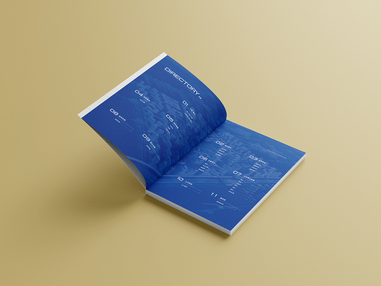 招商手册设计|Album Design