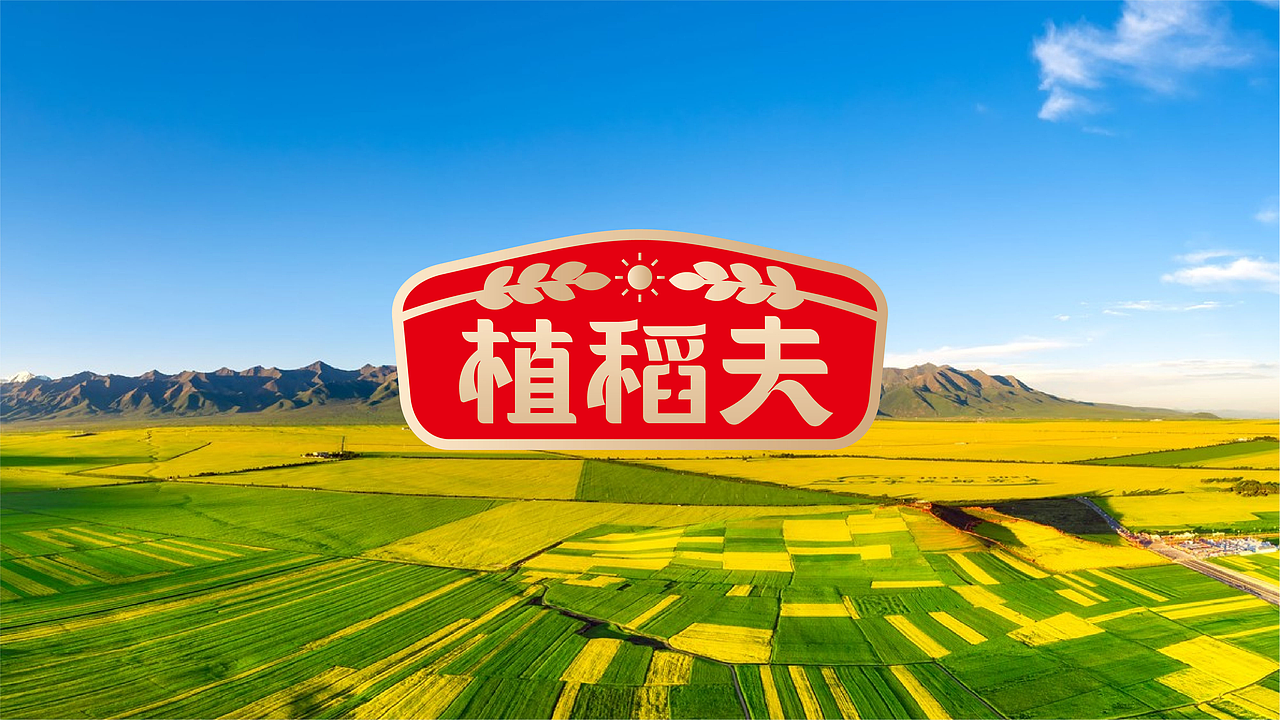 植稻夫—晨露金香米/大米类目品牌包装设计(图ZMzcxMjIxOTky) - 包装 - 站酷设计师一棵树品牌原创素材 - 站酷ZCOOL