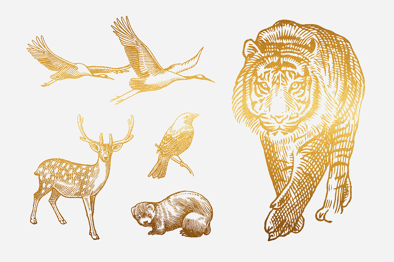 佐丹力奥康牌西洋参软蜜片包装