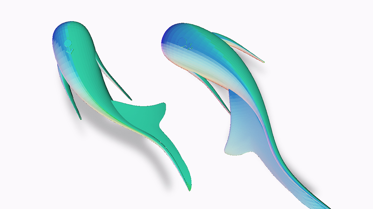 黑白鱼情趣用品品牌