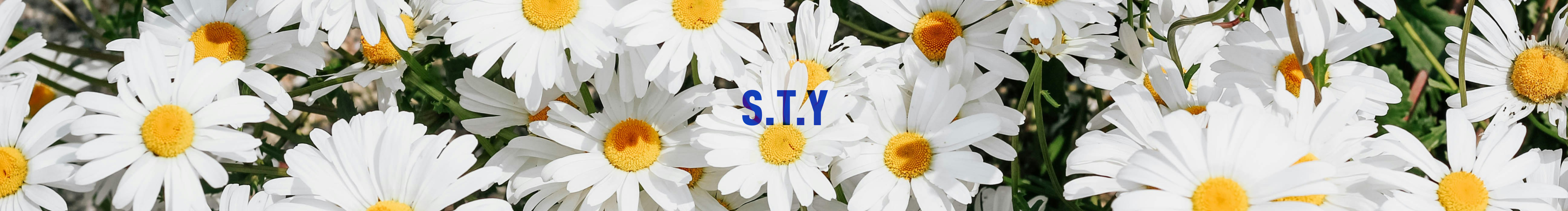 冥冥中有天逸的个人主页（封面预览） - 主页封面设置 - 站酷设计师冥冥中有天逸原创素材 - 站酷ZCOOL