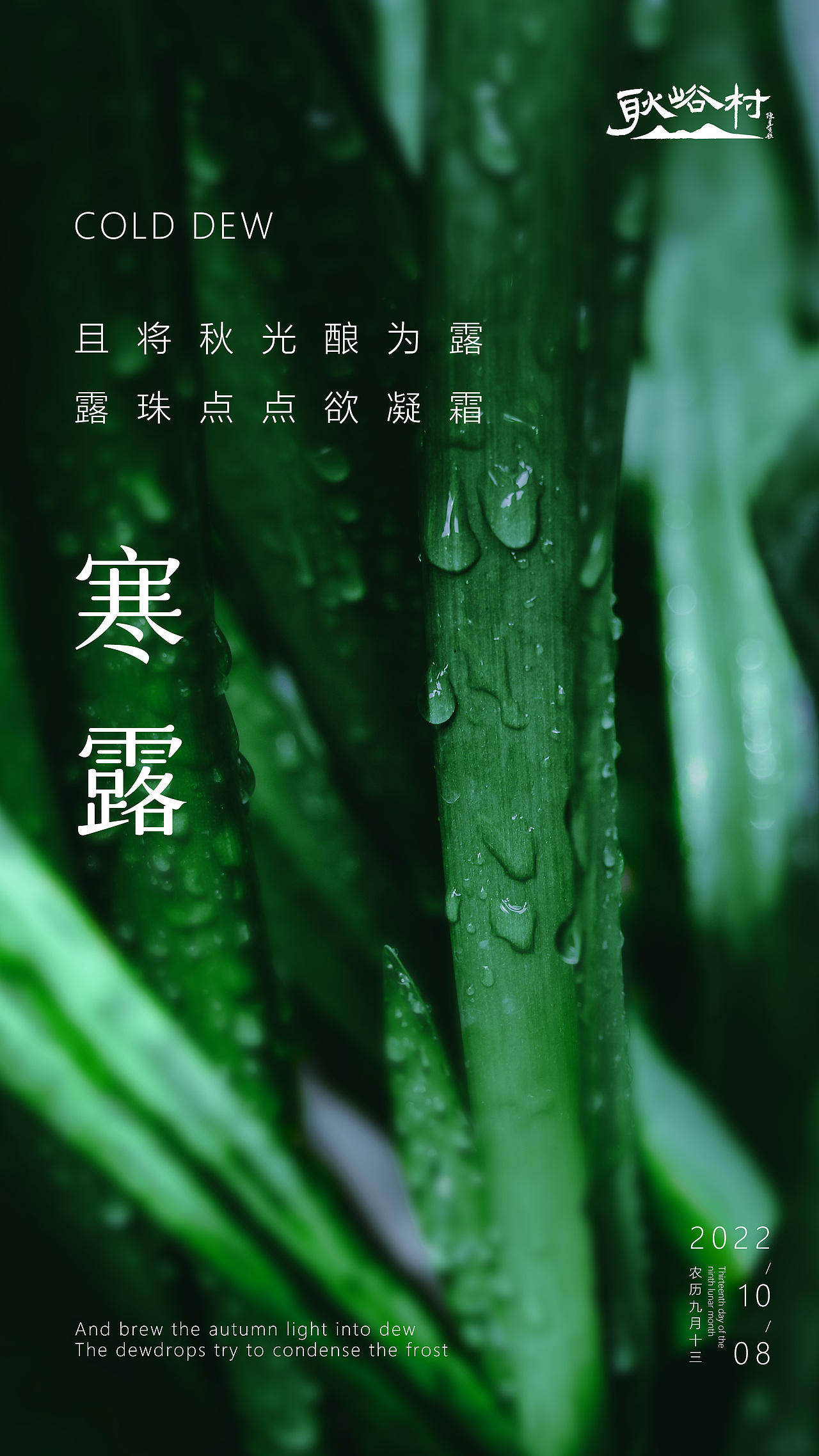 百村农场节日节气海报