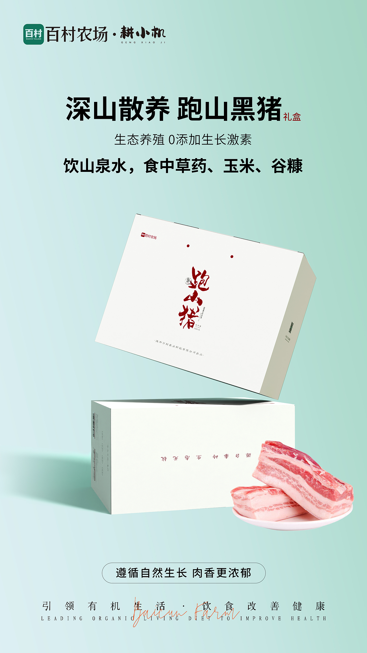 百村农场节日节气海报