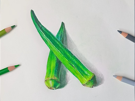 彩铅画—秋葵