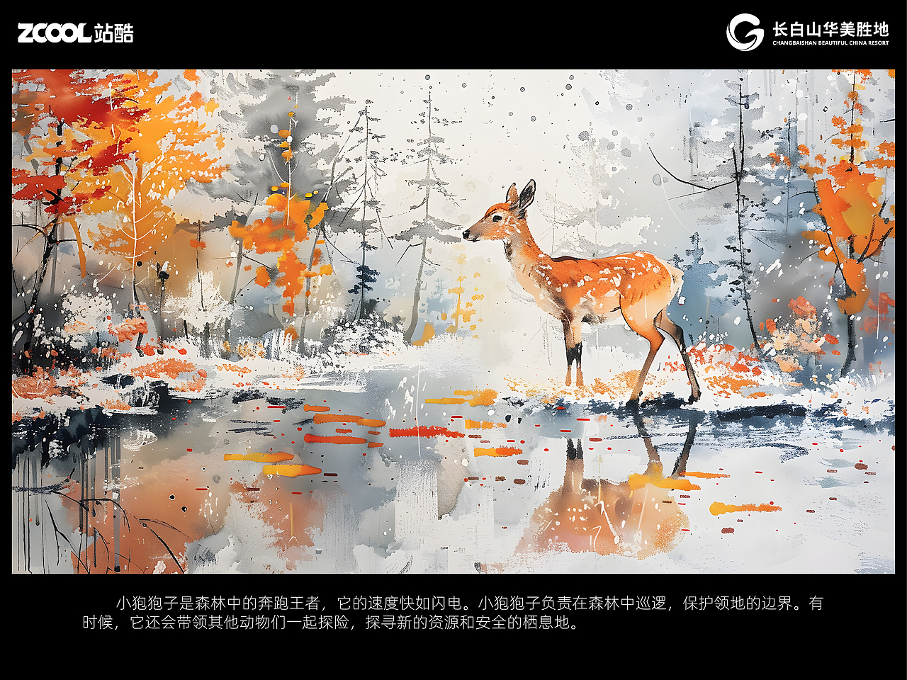 保护与共生:长白山的守护者们