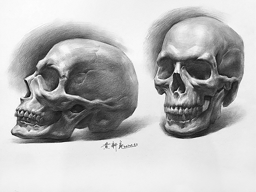素描头骨绘画