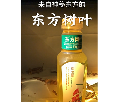 东方树叶【宣传片】