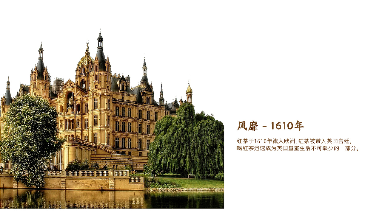 凤宁滇红产品序列创意规划