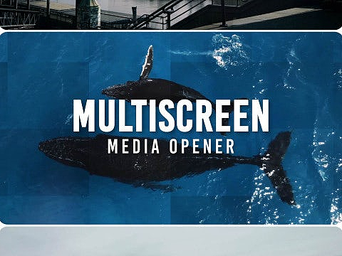 AE模板|时尚分屏切割视频展示动效动画版式设计片头