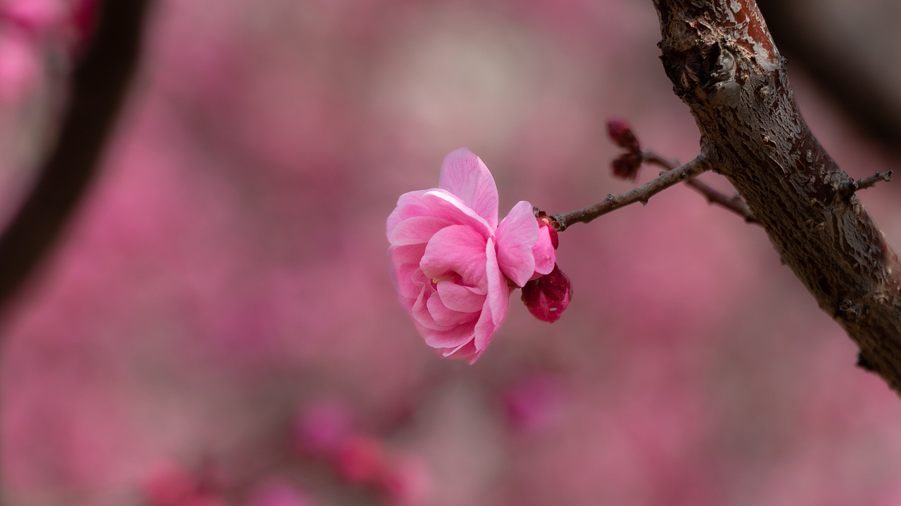 2024上半年总结（图ZMzcxMzYwNjI0） - 人文/纪实摄影 - 站酷设计师摄影雷十三原创素材 - 站酷ZCOOL