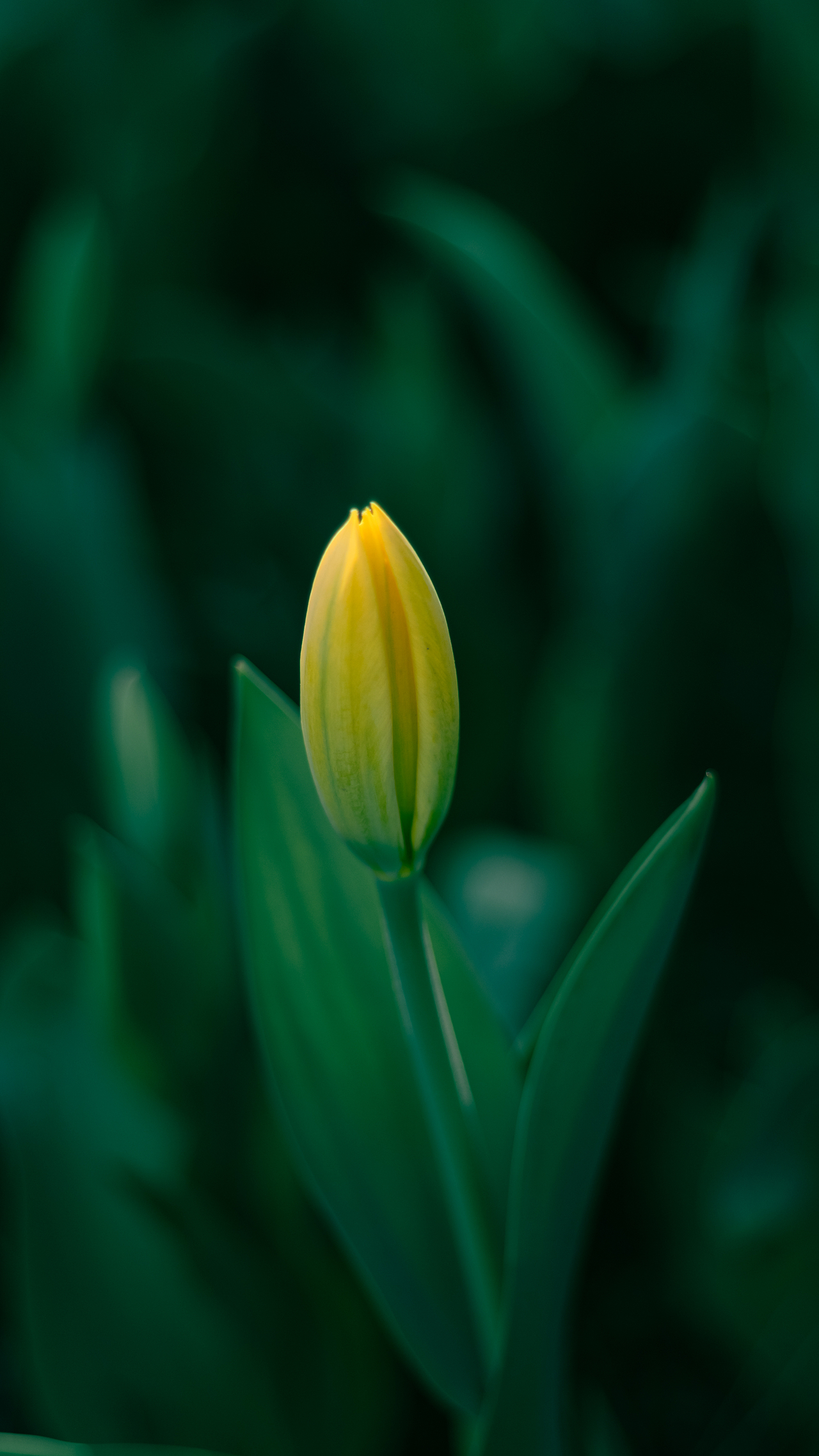 2024上半年总结（图ZMzcxMzYwNzA0） - 人文/纪实摄影 - 站酷设计师摄影雷十三原创素材 - 站酷ZCOOL