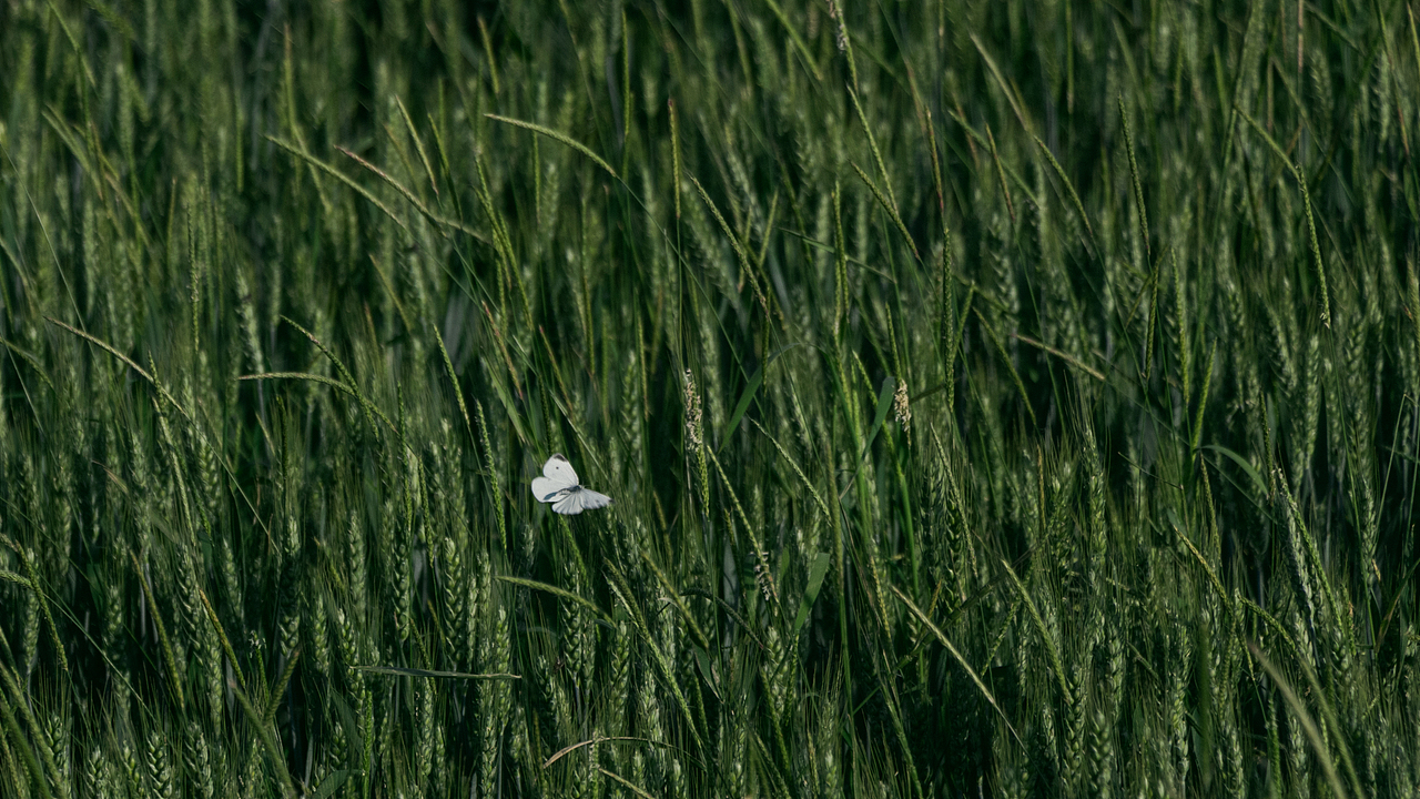 2024上半年总结（图ZMzcxMzYxMjk2） - 人文/纪实摄影 - 站酷设计师摄影雷十三原创素材 - 站酷ZCOOL