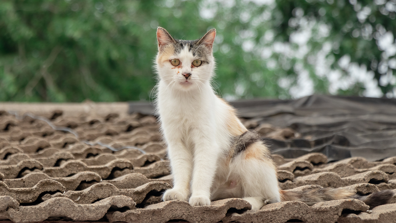 2024上半年总结（图ZMzcxMzYxNDM2） - 人文/纪实摄影 - 站酷设计师摄影雷十三原创素材 - 站酷ZCOOL