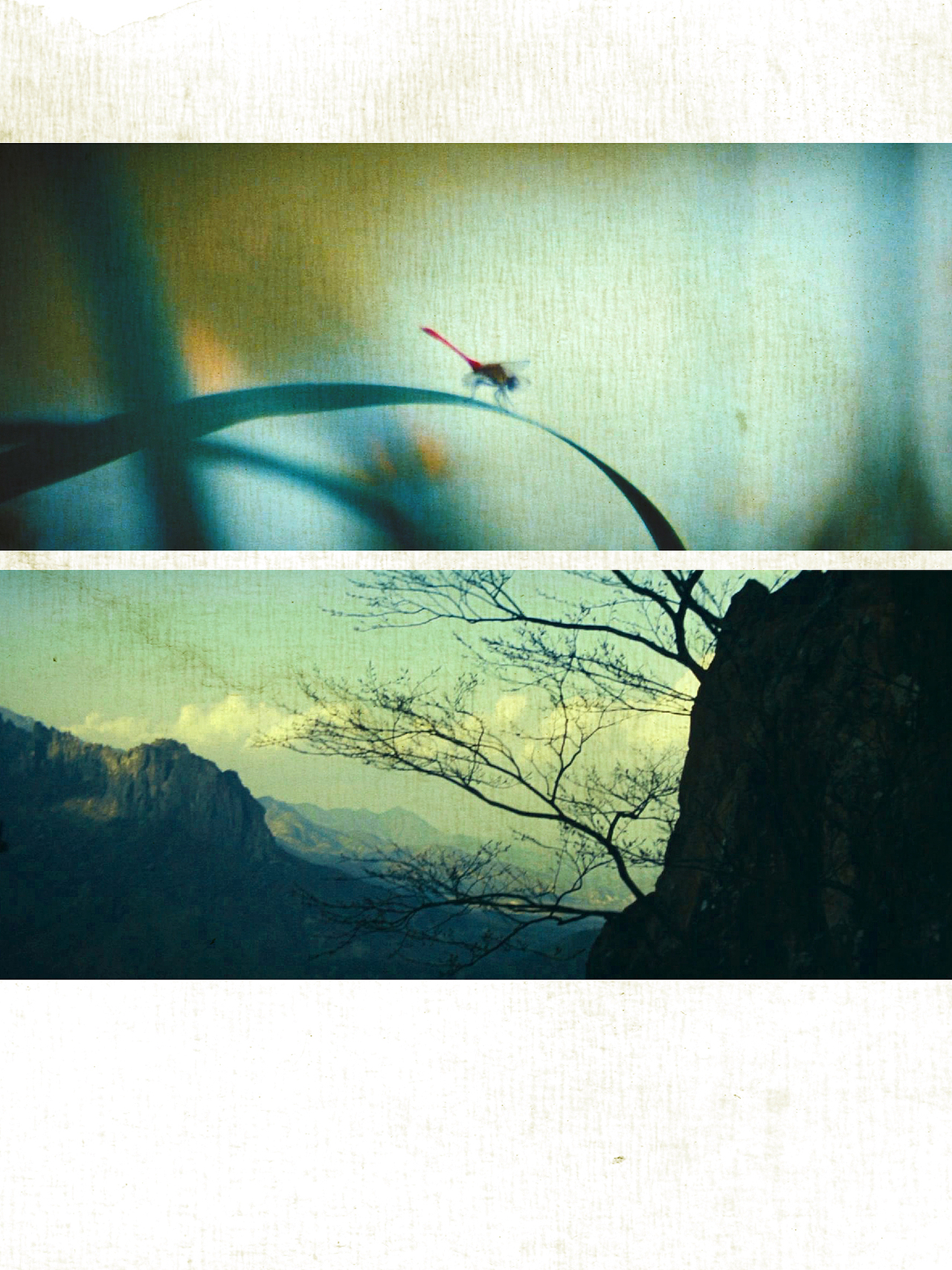 聊斋·画皮草图（10）