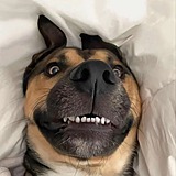 Ausln的头像