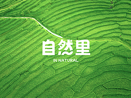 乡村品牌形象设计