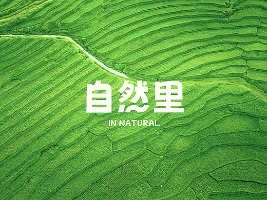 自然里｜生鲜品牌设计