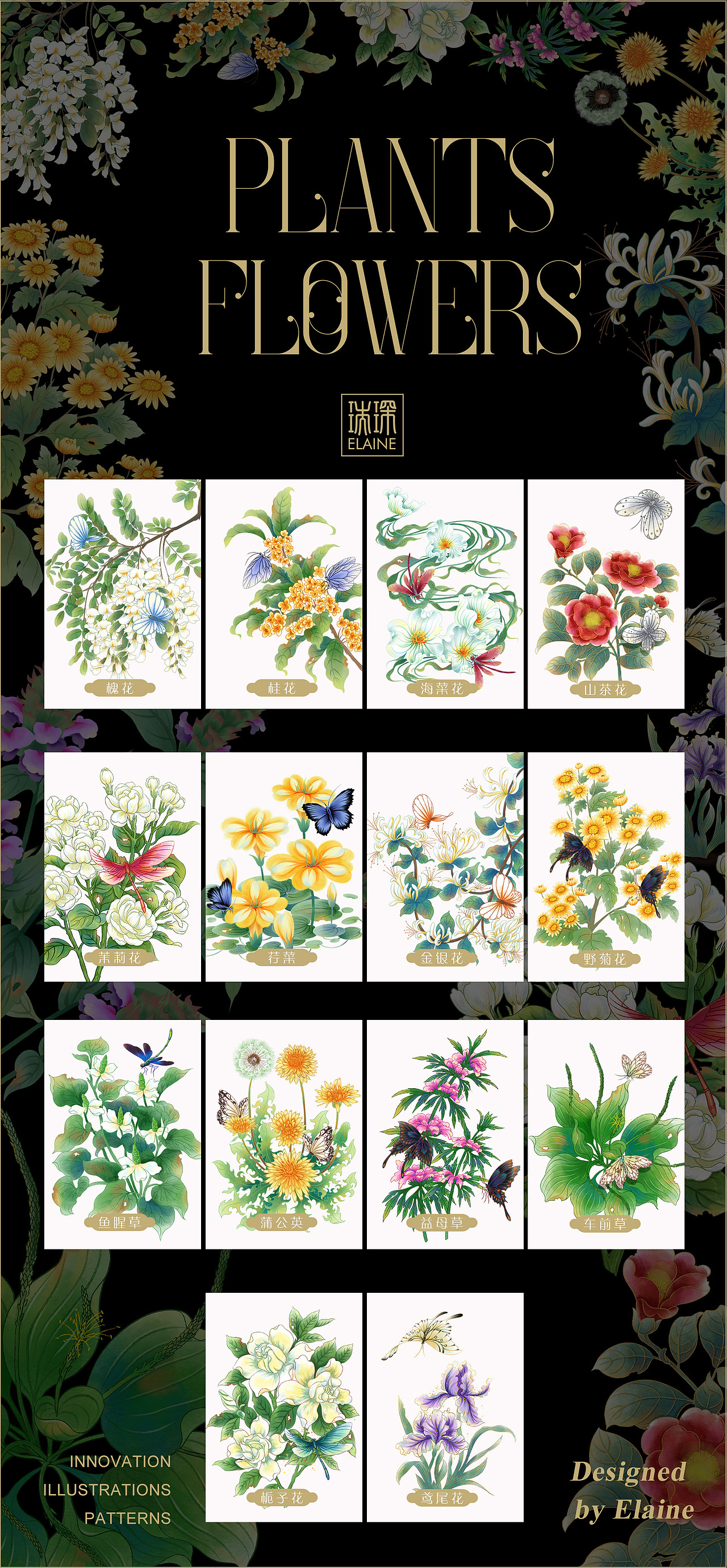 植物鲜花,大自然最好的馈赠