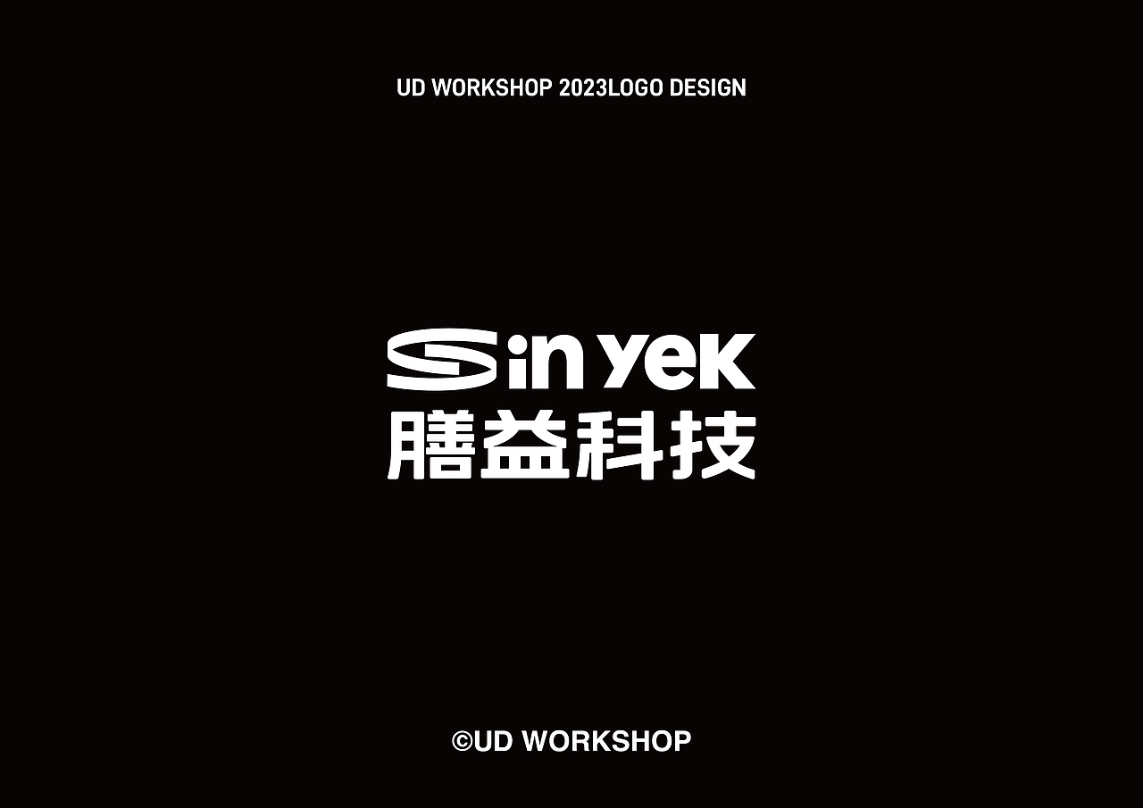 UD WORKSHOP LOGO项目