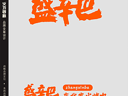盛辛巴-东北炭火烤肉