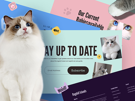 布偶猫网站Ragdoll Islands | web design, animation