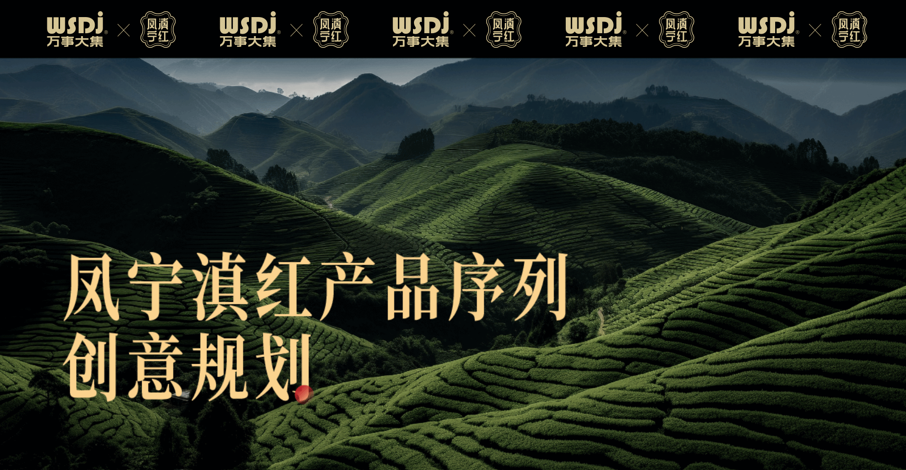 凤宁滇红产品序列创意规划