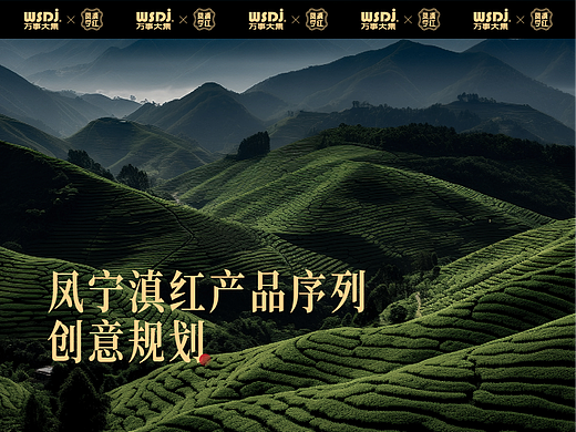 凤宁滇红产品序列创意规划