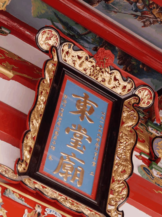 产品视频｜锋味派粽子礼盒 瑞安龙舟非遗文化（图ZMzcxNDI5MzYw） - 宣传片 - 站酷设计师景从文化传媒原创素材 - 站酷ZCOOL