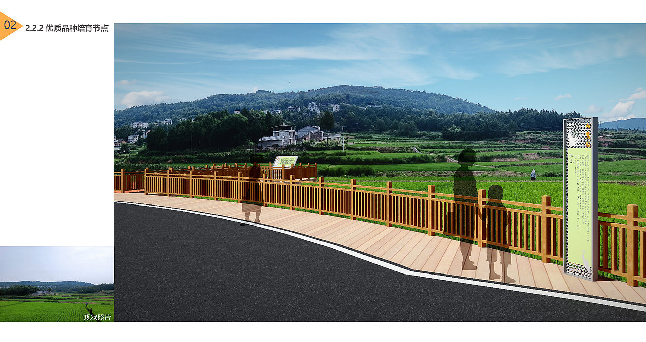 苍溪青龙,天新农业园区