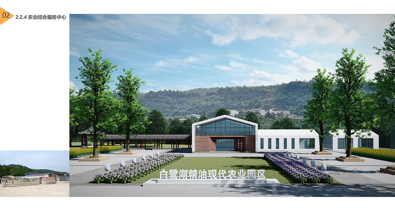 苍溪青龙,天新农业园区