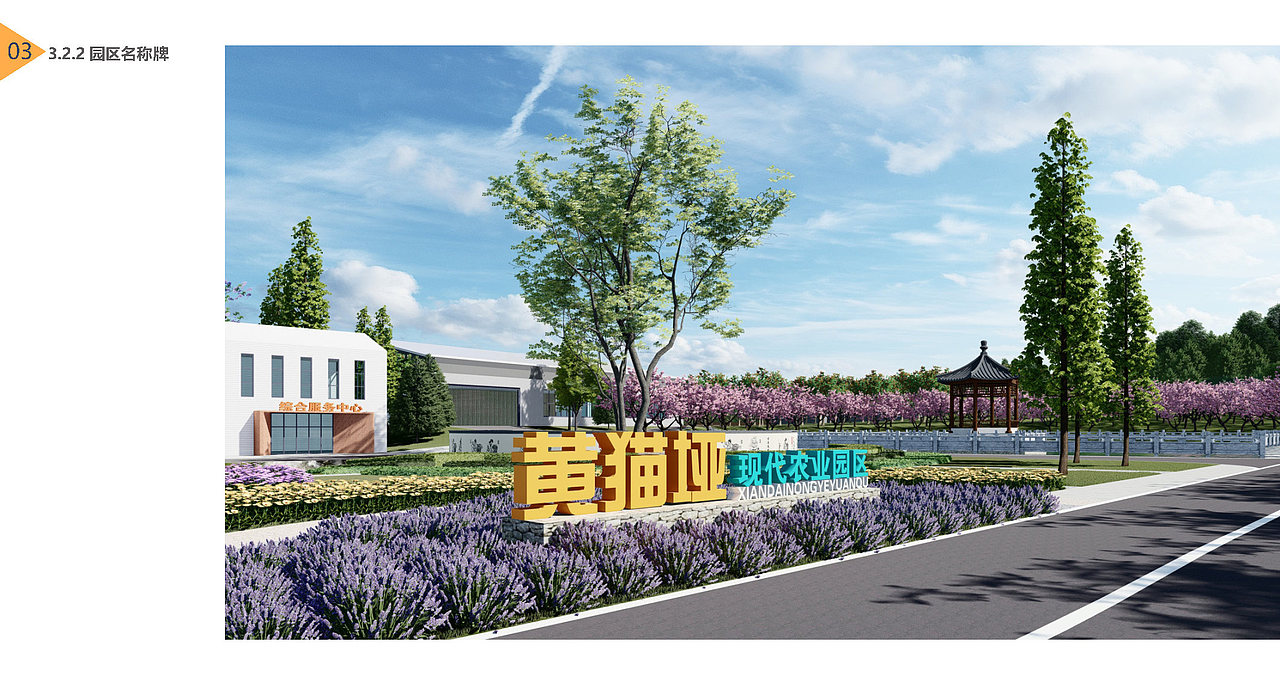 苍溪青龙,天新农业园区