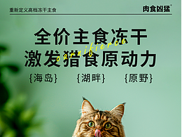 宠物零食详情页