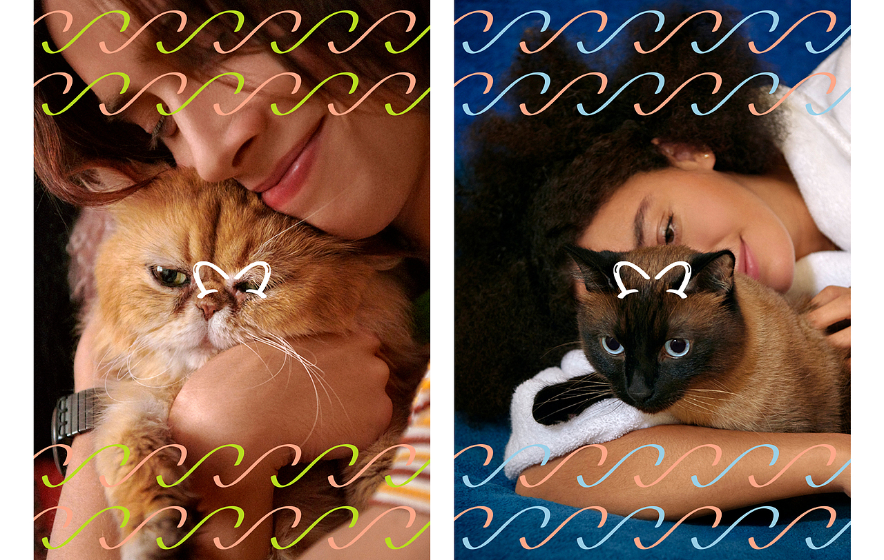 宠予 CHUUY 宠物品牌视觉设计