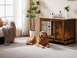 产品拍摄，视频拍摄，主图详情设计