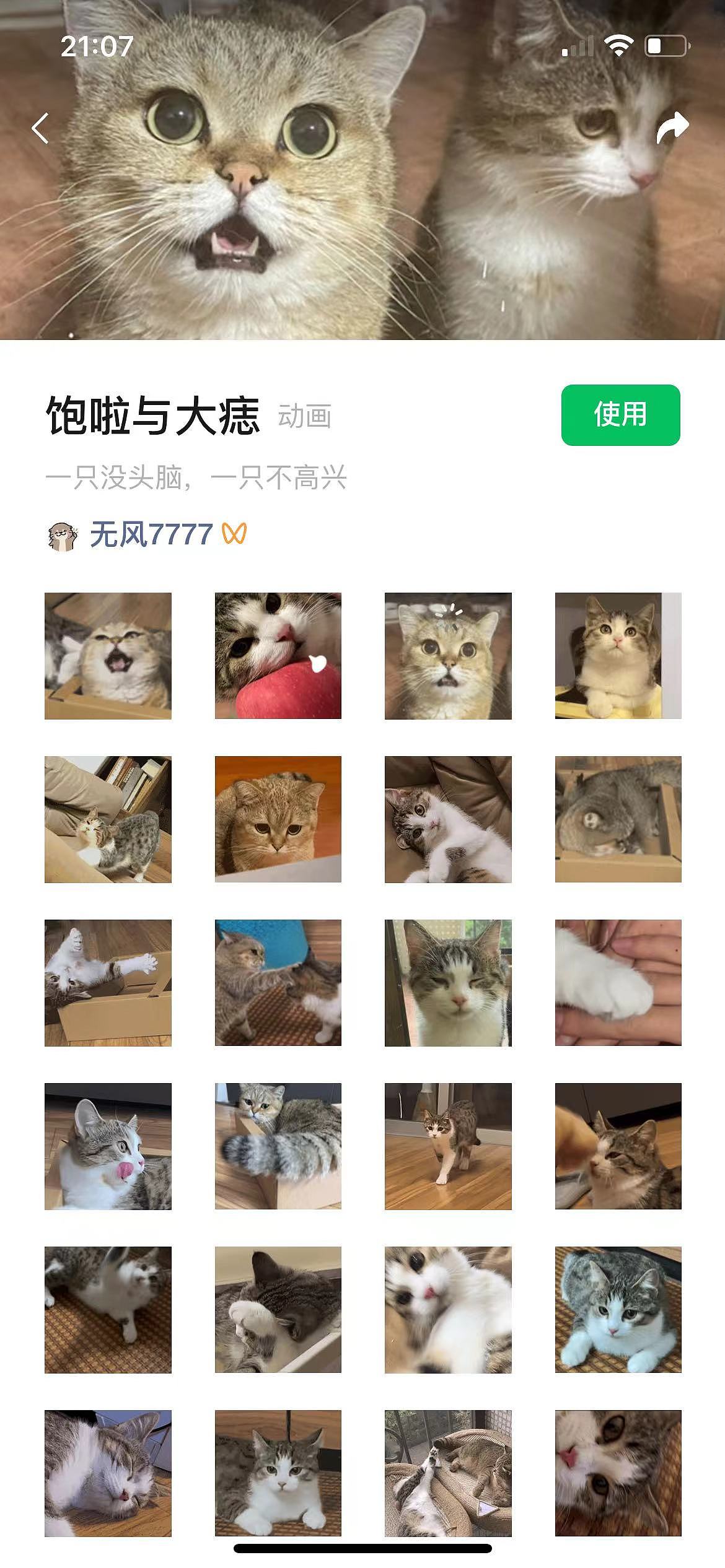 小猫表情包（图ZMzcxNDc4MTQw） - 网络表情 - 站酷设计师无风风风原创素材 - 站酷ZCOOL