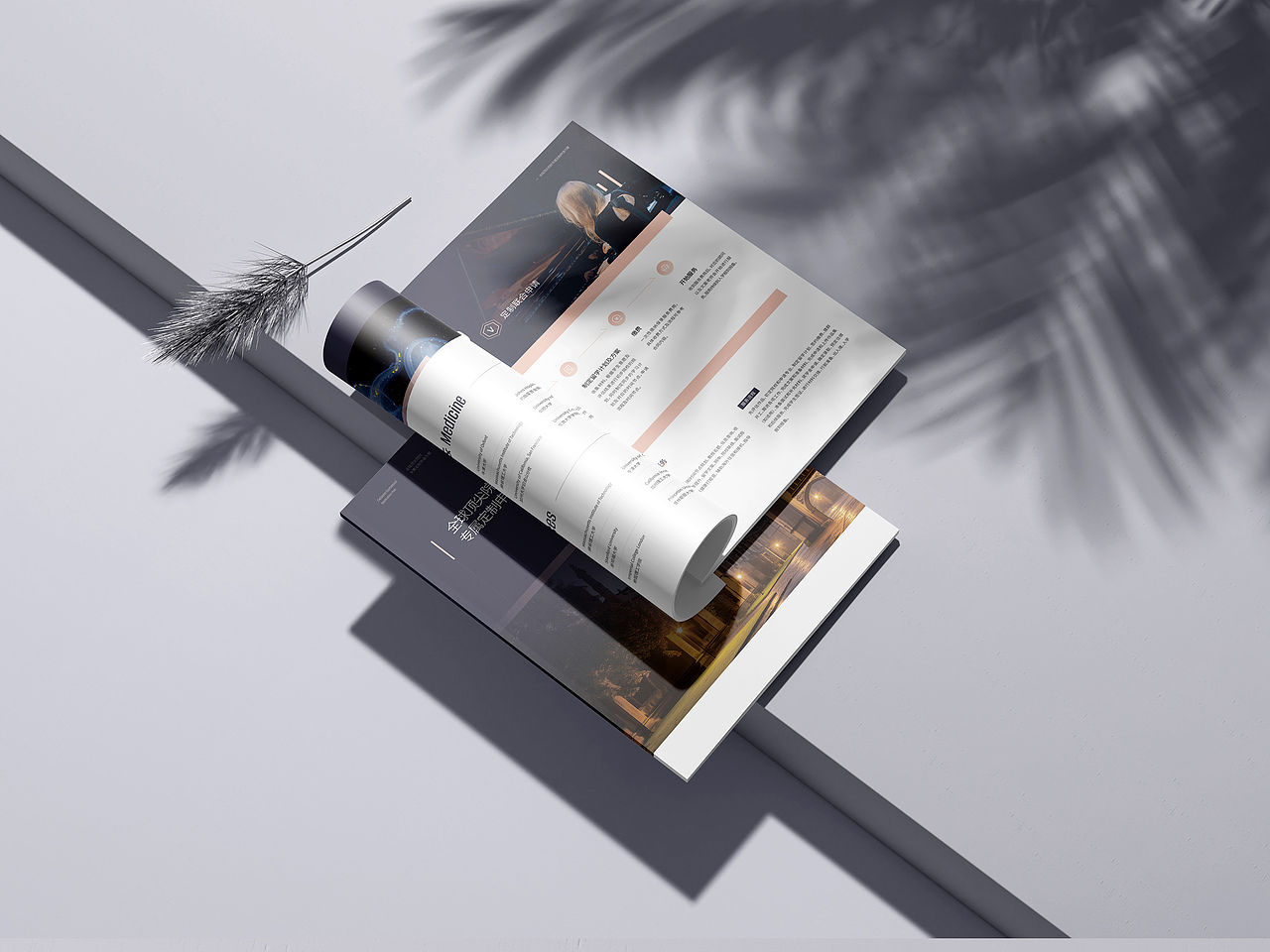 留学移民画册设计