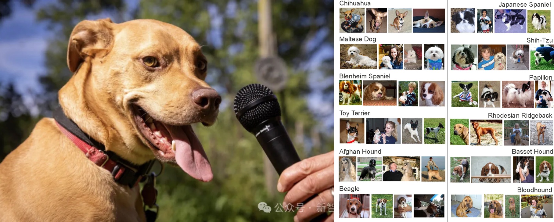 MEUX 「六月」 AI设计观察