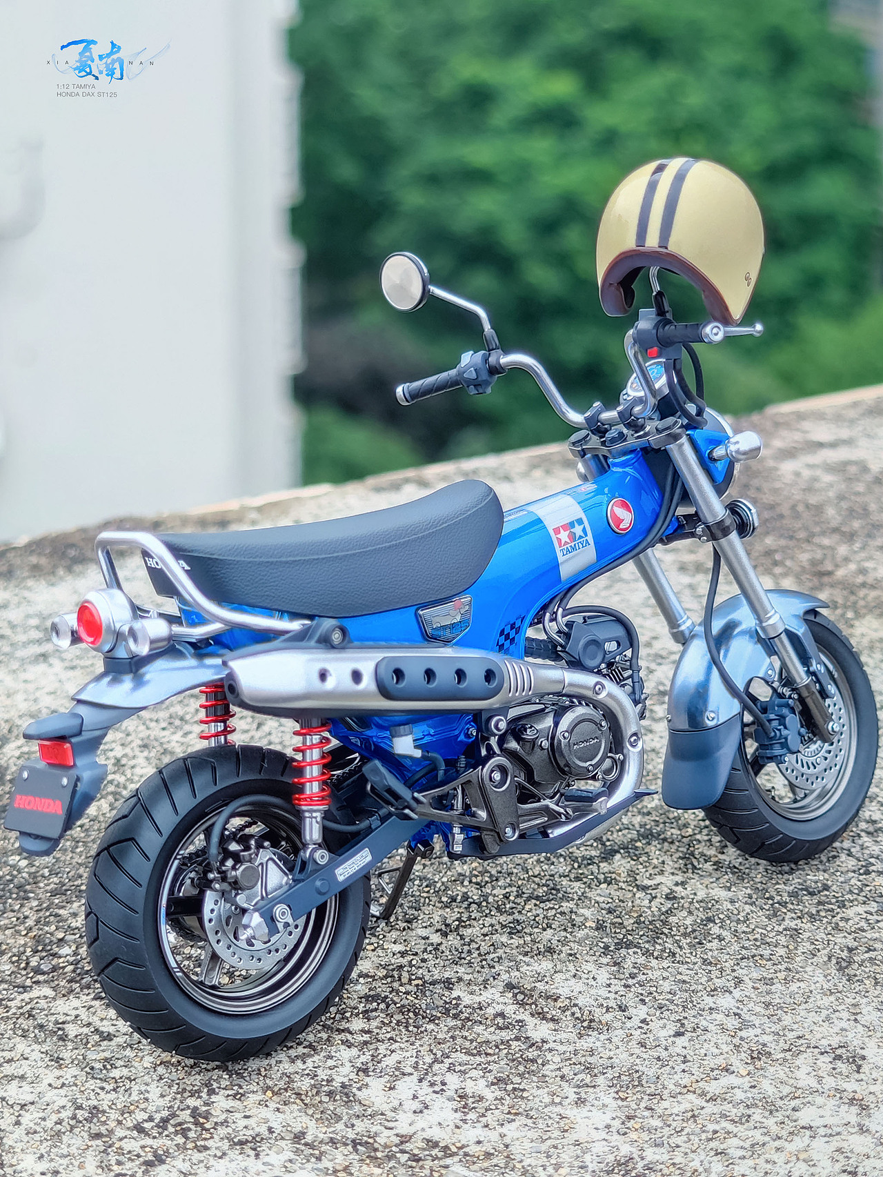 田宫 1:12 本田DAX ST125 腊肠狗摩托-模型展示
