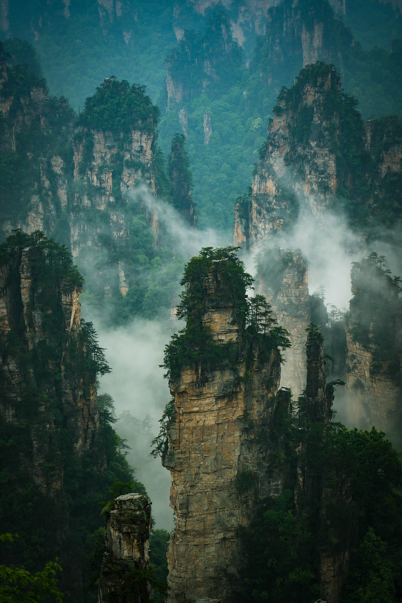 张家界（图ZMzcxNTkwOTc2） - 风光摄影 - 站酷设计师懂你最重要啦原创素材 - 站酷ZCOOL