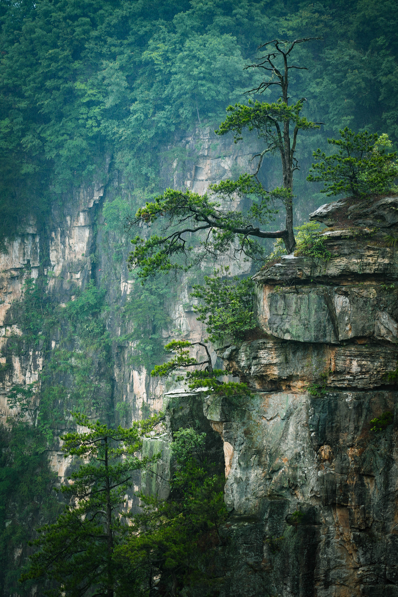 张家界（图ZMzcxNTkwOTcy） - 风光摄影 - 站酷设计师懂你最重要啦原创素材 - 站酷ZCOOL