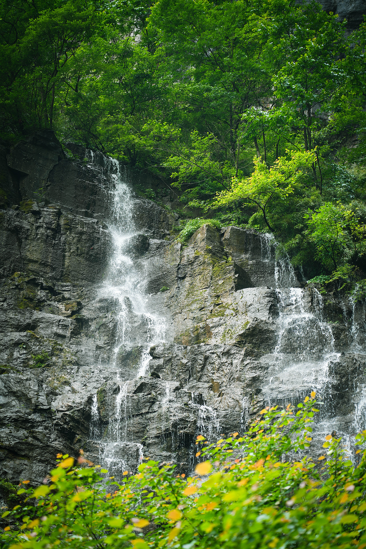 张家界（图ZMzcxNTkwODgw） - 风光摄影 - 站酷设计师懂你最重要啦原创素材 - 站酷ZCOOL