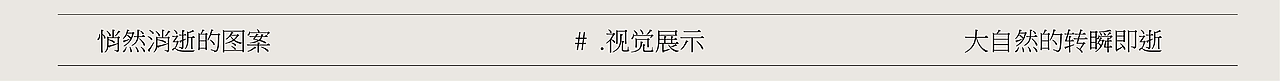 自然的转瞬即逝/ 珍稀动物 视觉设计（图ZMzcxNTk2NjE2） - IP形象 - 站酷设计师Candy_Lie原创素材 - 站酷ZCOOL